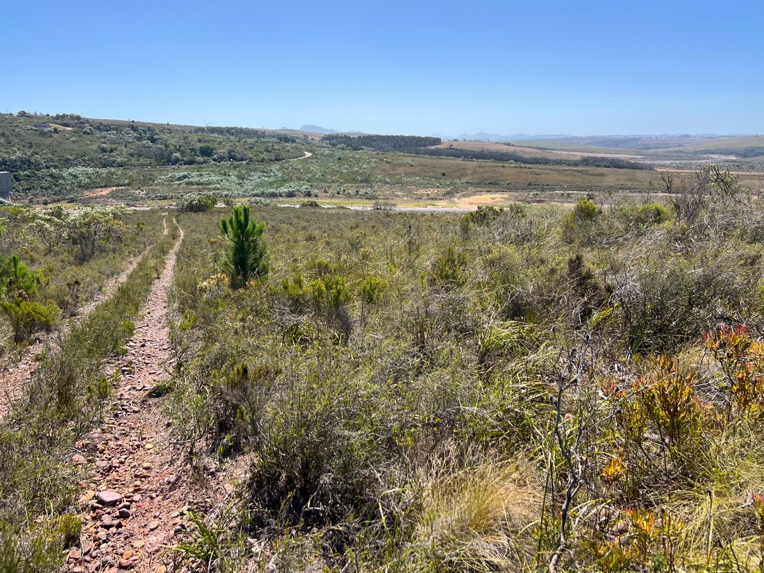Farm Ranch in Kouga Local Municipality, Eastern Cape, South Africa 1 - 16981768
