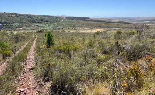 Azienda agricola a Humansdorp, Capo Orientale, Sudafrica 1
