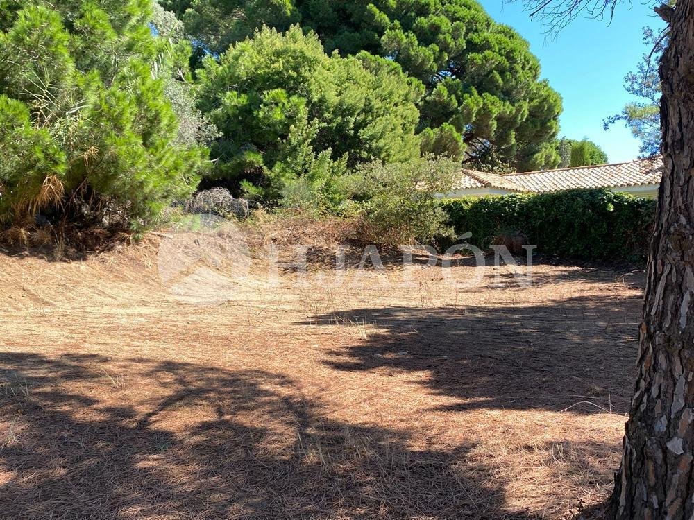 Land in Sant Vicenc de Montalt, Catalonia, Spain 2 - 14394465