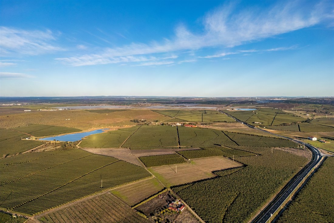 Land in Ferreira do Alentejo e Canhestros, Beja District, Portugal 2 - 16985208