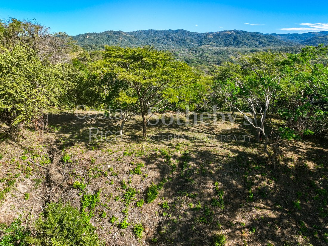 Land in Garza, Guanacaste Province, Costa Rica 4 - 16985899