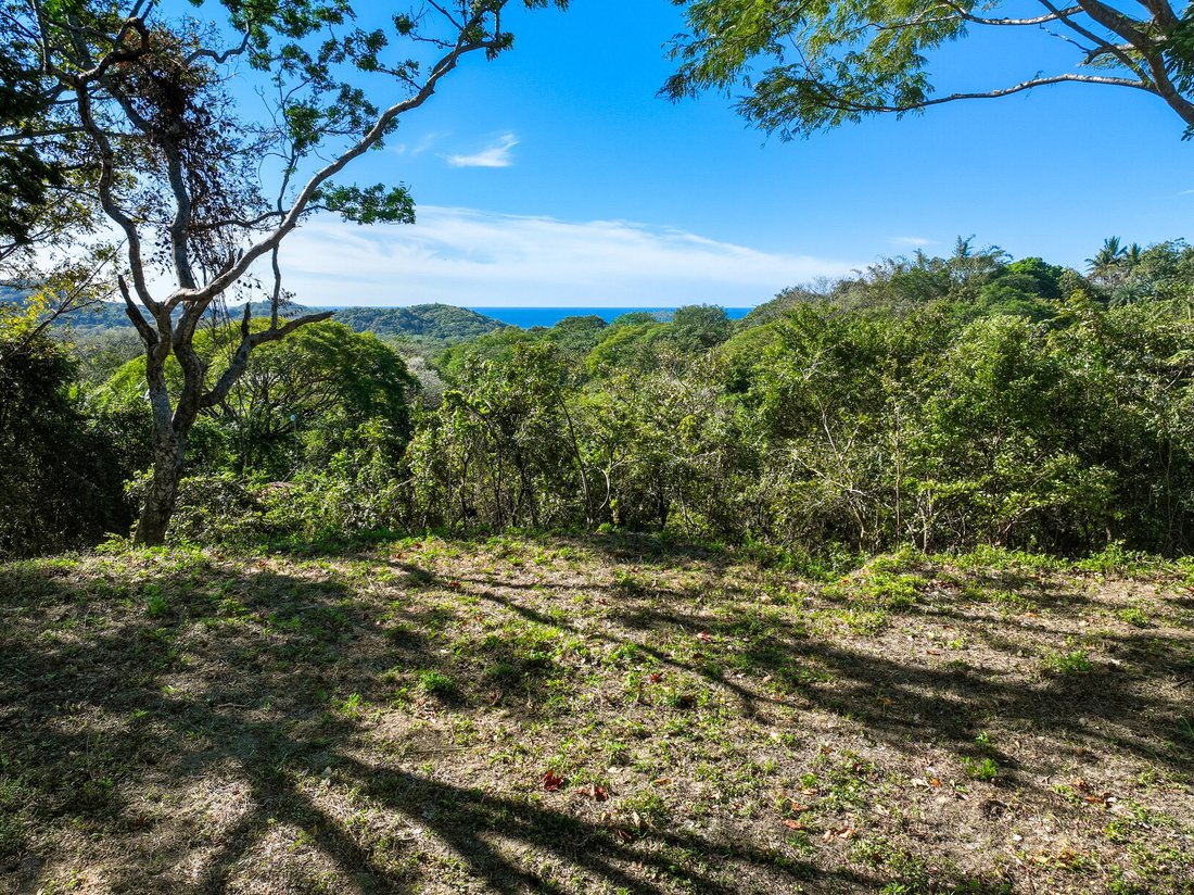 Land in Garza, Guanacaste Province, Costa Rica 1 - 16985899