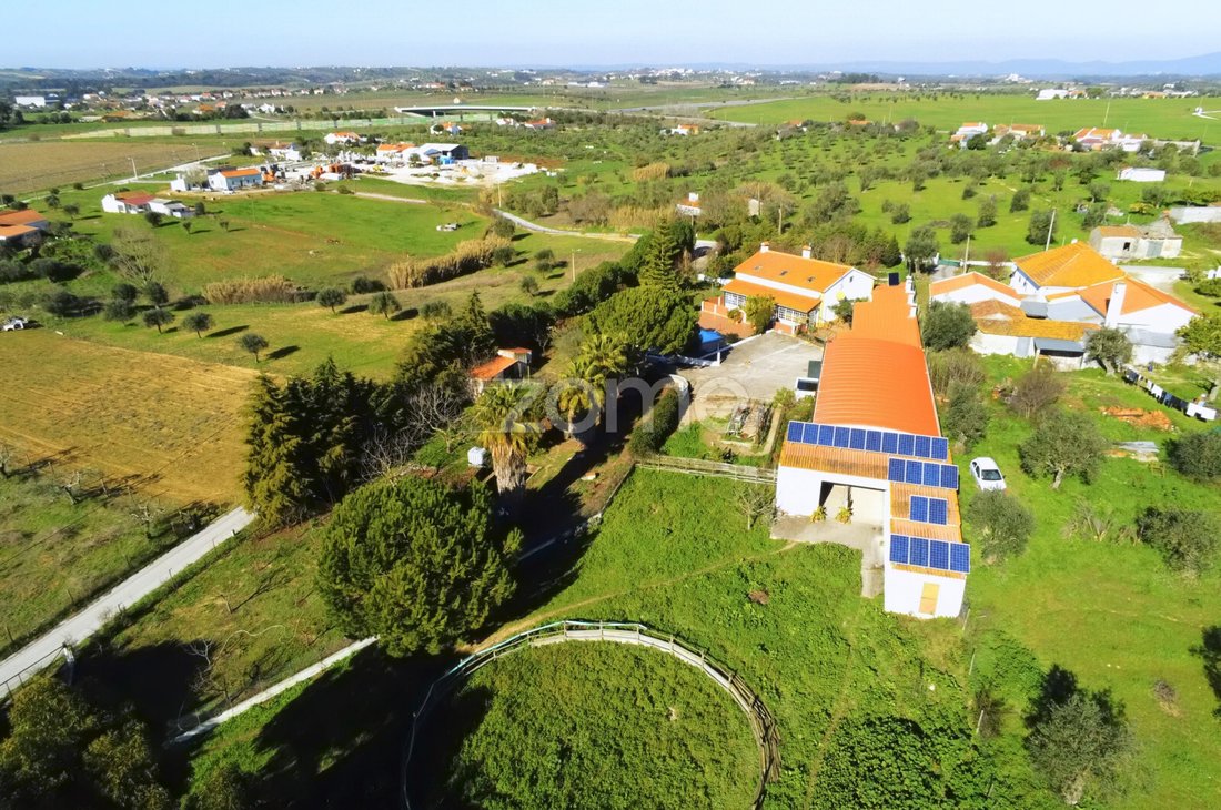 Finca in Sao Vicente do Paul e Vale de Figueira, Santarem District, Portugal 3 - 16984594