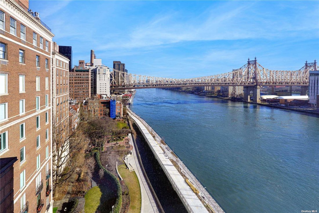 Co Op in New York, New York, United States 1 - 16978021