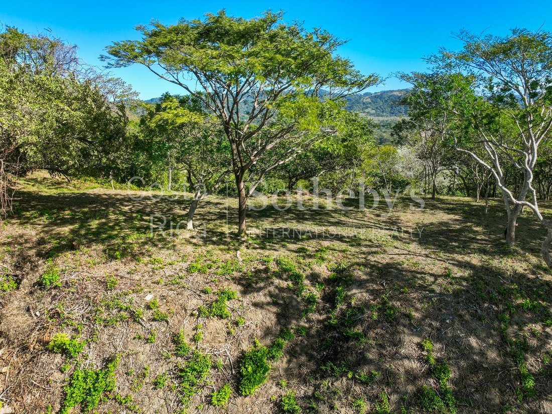 Land in Garza, Guanacaste Province, Costa Rica 5 - 16985899
