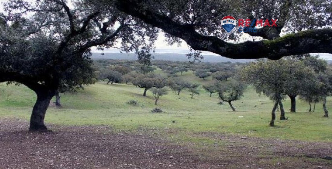 Land in Badajoz, Extremadura, Spain 2 - 16985933
