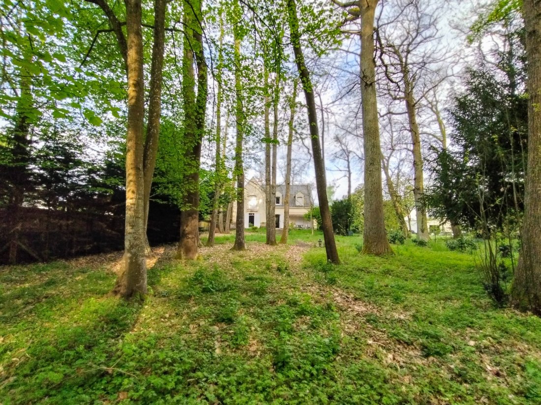 House in Montbazon, Centre-Val de Loire, France 1 - 16983454