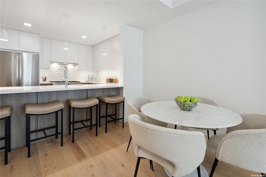 Condo in Great Neck, New York, United States 3 - 16979766