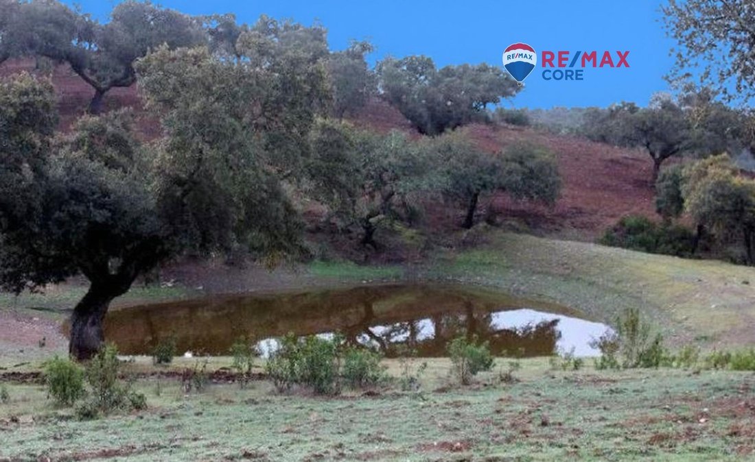 Land in Badajoz, Extremadura, Spain 5 - 16985933
