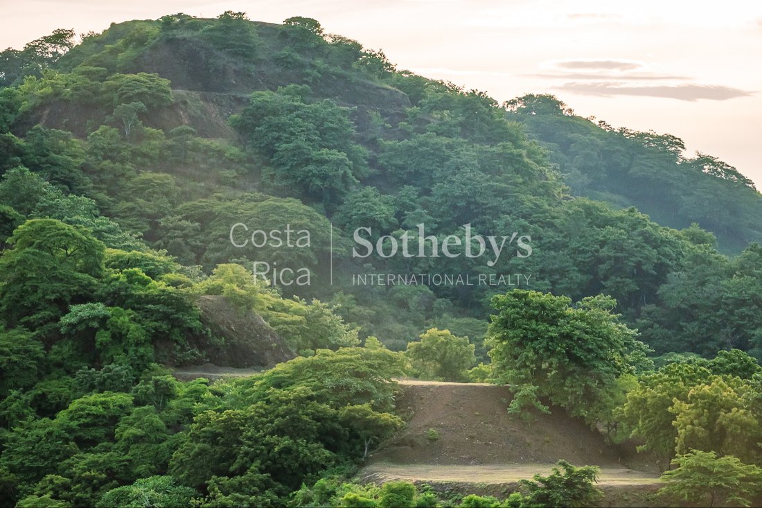 Land in Ocotal, Carrillo, Costa Rica 4 - 16985900