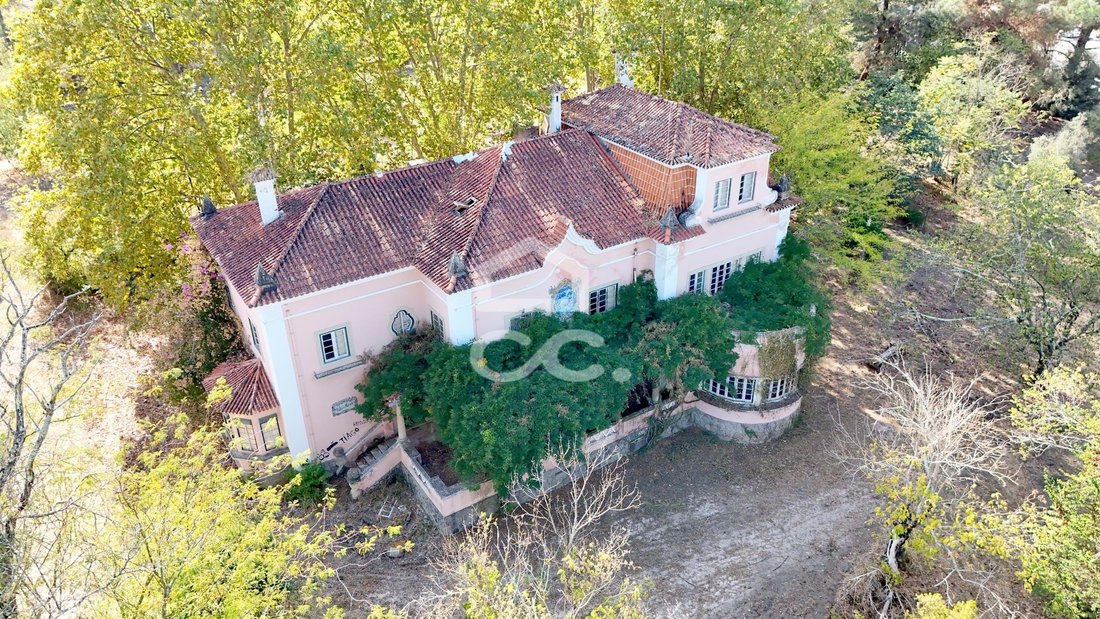Rancho en Tramagal, Distrito de Santarém, Portugal 1 - 14962813