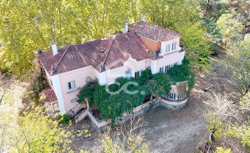 Azienda agricola a Tramagal, Distretto di Santarém, Portogallo 1