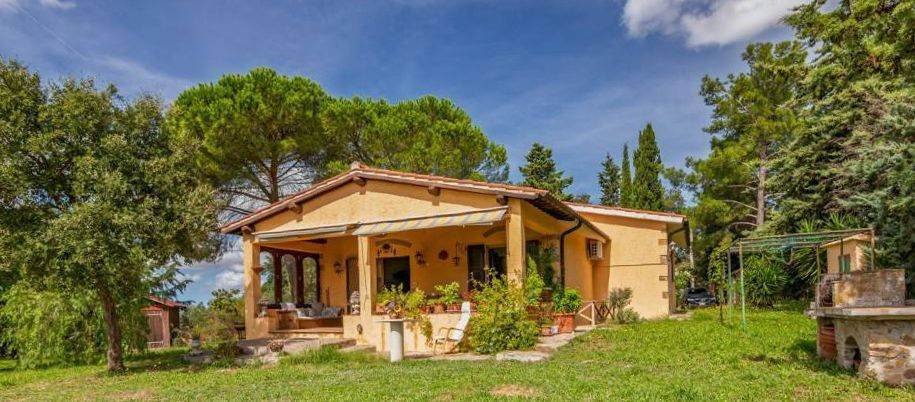 Magliano in Toscana, Tuscany, Italy 2 - 16983696