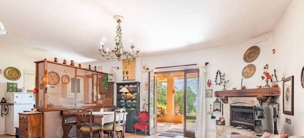 Magliano in Toscana, Tuscany, Italy 4 - 16983696