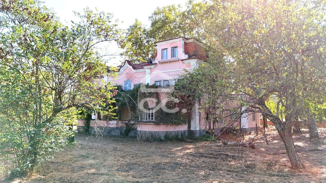 Rancho en Tramagal, Distrito de Santarém, Portugal 2 - 14962813