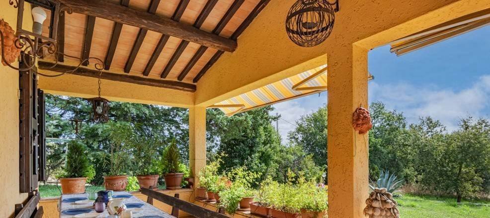 Magliano in Toscana, Tuscany, Italy 3 - 16983696
