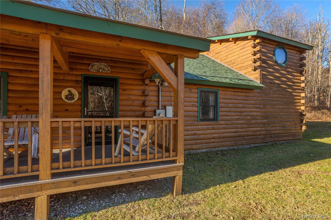 House in Long Eddy, New York, United States 5 - 16981001