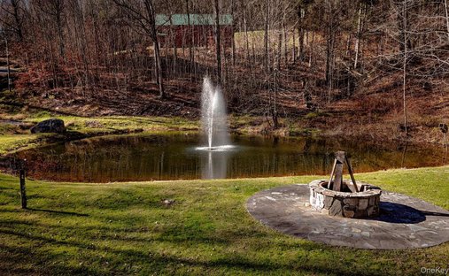House in Long Eddy, New York, United States 1