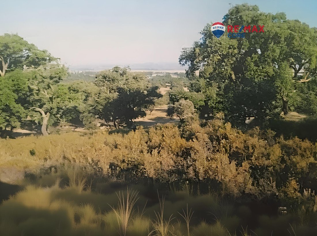 Land in Badajoz, Extremadura, Spain 3 - 16985933