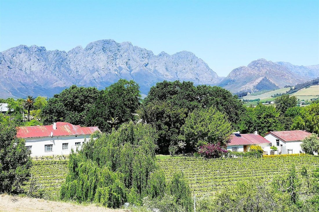 Farm Ranch in Franschhoek, Western Cape, South Africa 1 - 16387816