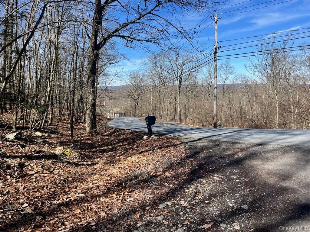 House in Port Jervis, New York, United States 4 - 16980494