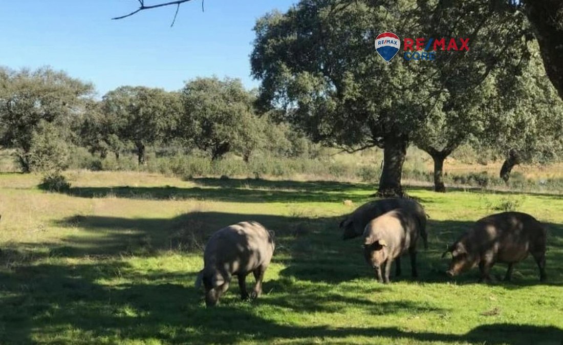 Land in Badajoz, Extremadura, Spain 1 - 16985933