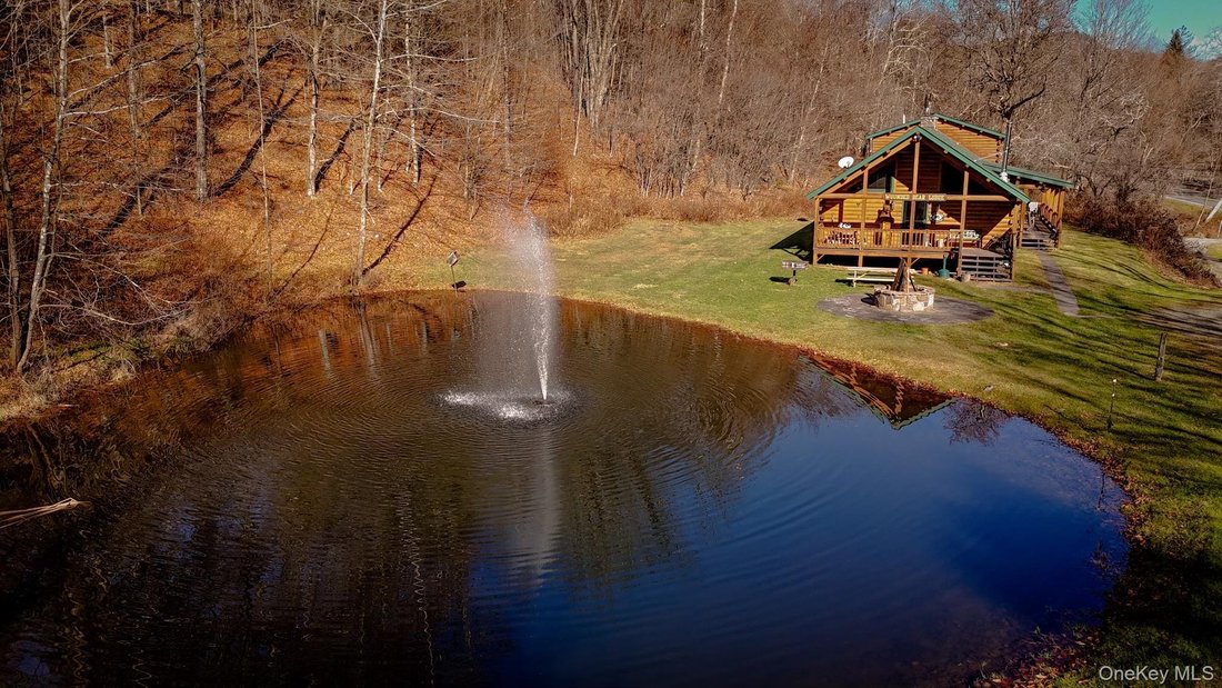House in Long Eddy, New York, United States 3 - 16981001