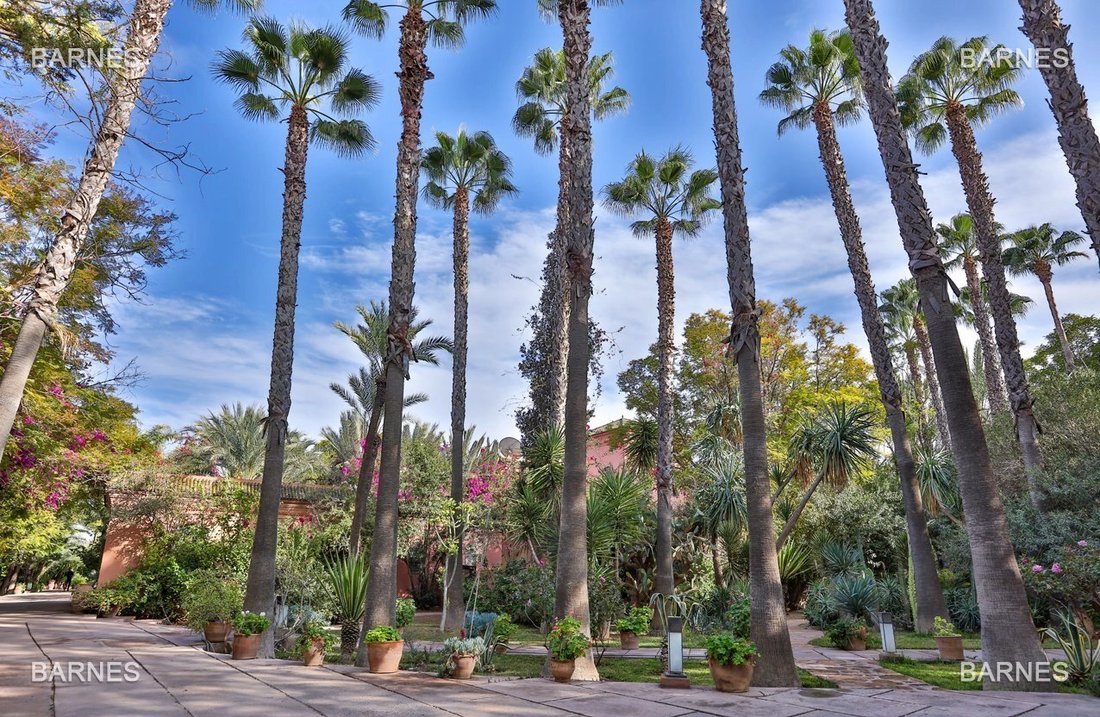 Villa in Menara, Marrakesh-Safi, Morocco 3 - 12087028
