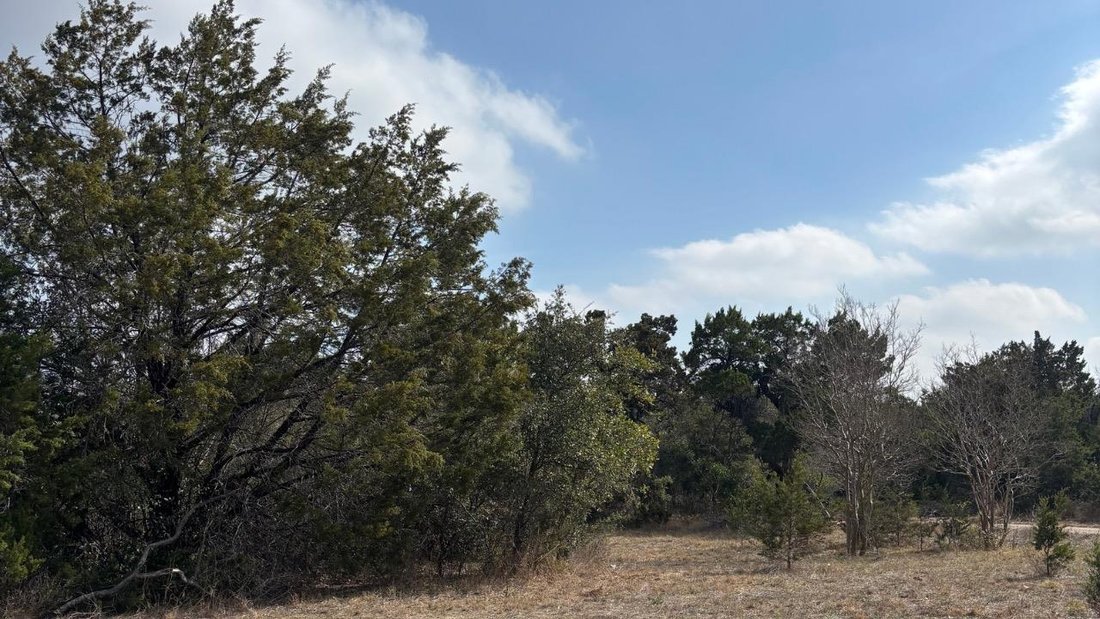 Land in Austin, Texas, United States 4 - 16223989