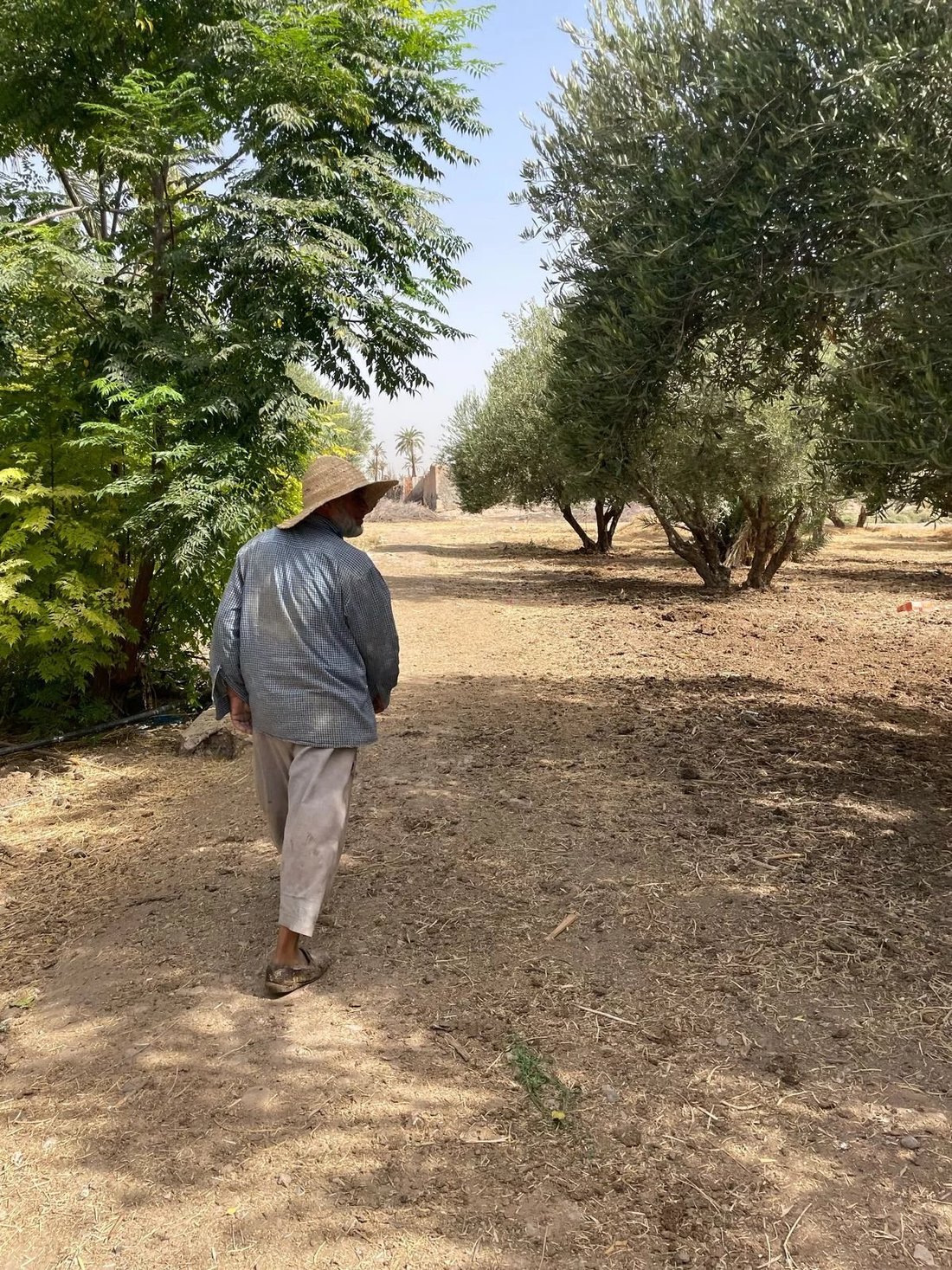 Terreno a Menara, Marrakech-Safi, Marocco 4 - 14766424