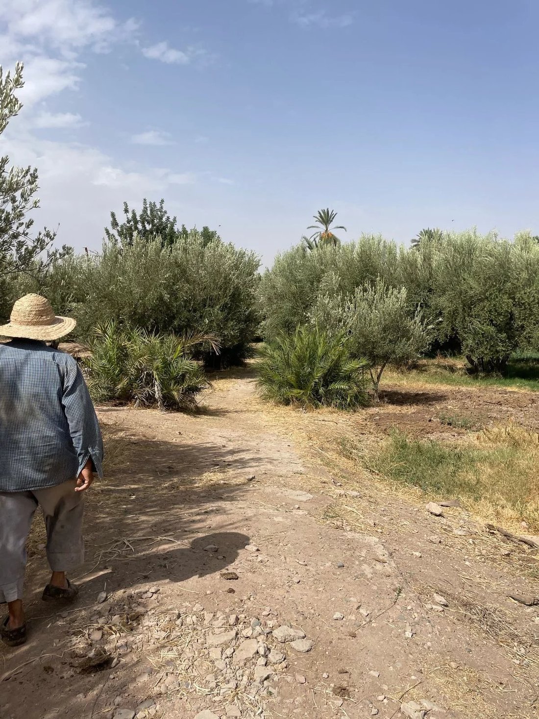 Terreno a Menara, Marrakech-Safi, Marocco 3 - 14766424