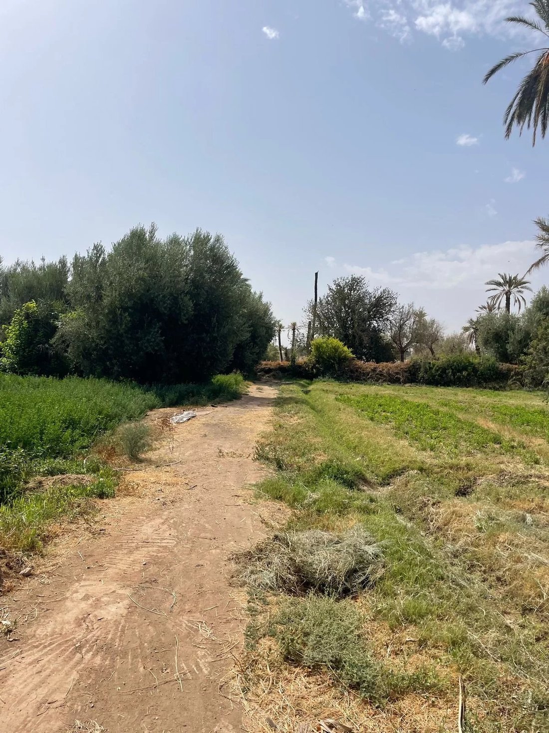 Terreno a Menara, Marrakech-Safi, Marocco 2 - 14766424