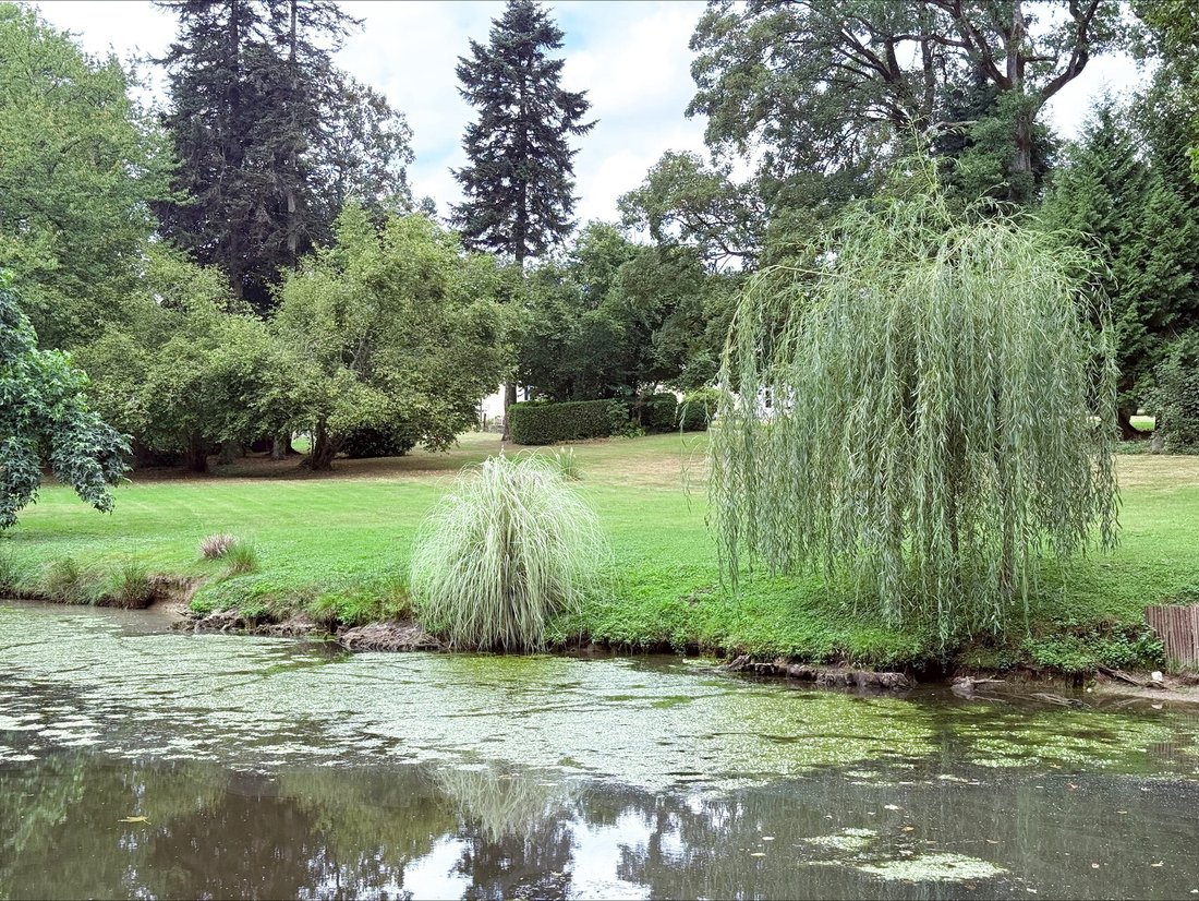 Villa in Saint-Denis-sur-Sarthon, Normandy, France 5 - 16744299