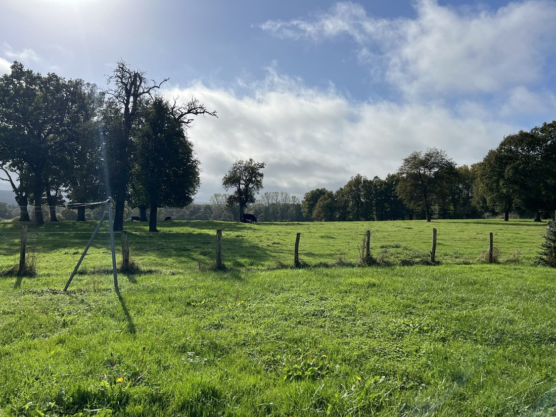 Villa in Villaines-la-Carelle, Pays de la Loire, France 4 - 16673170