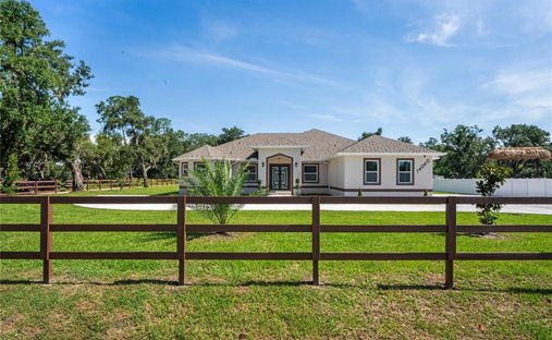 House in Dover, Florida, United States 1