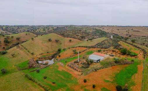 Tenuta a Vila Nova de Sao Bento e Vale de Vargo, Distretto di Beja, Portogallo 1