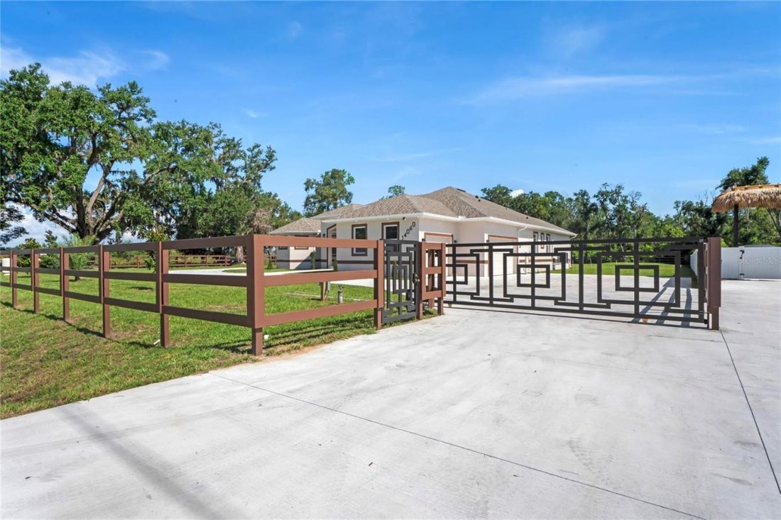 House in Dover, Florida, United States 4 - 16986449