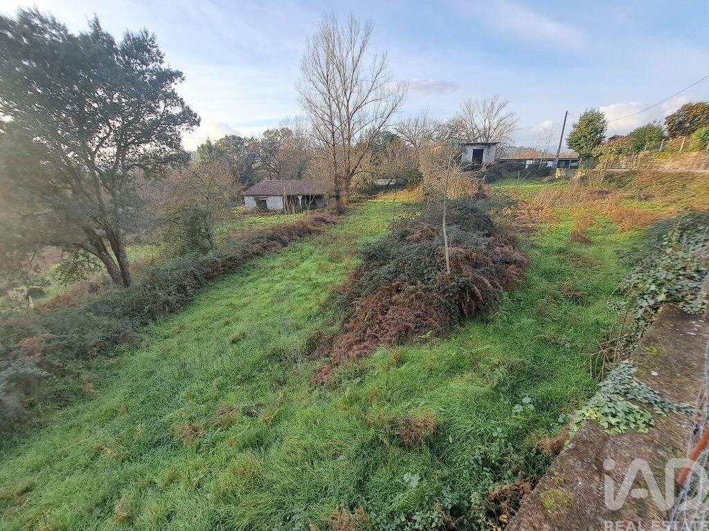 Land in Adaufe, Braga, Portugal 5 - 16987279