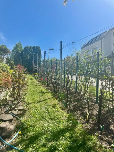 Apartment in Vienna, Wien, Austria 5 - 16987863
