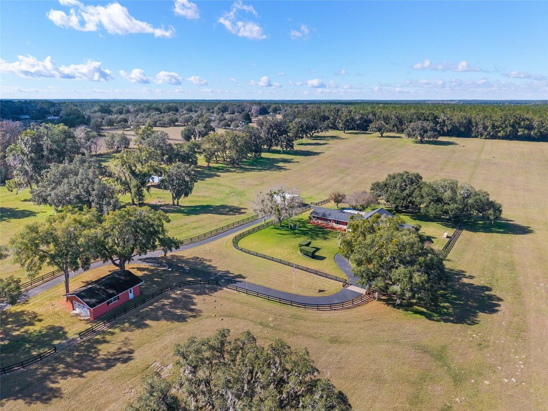 Farm Ranch in Morriston, Florida, United States 5 - 17002828
