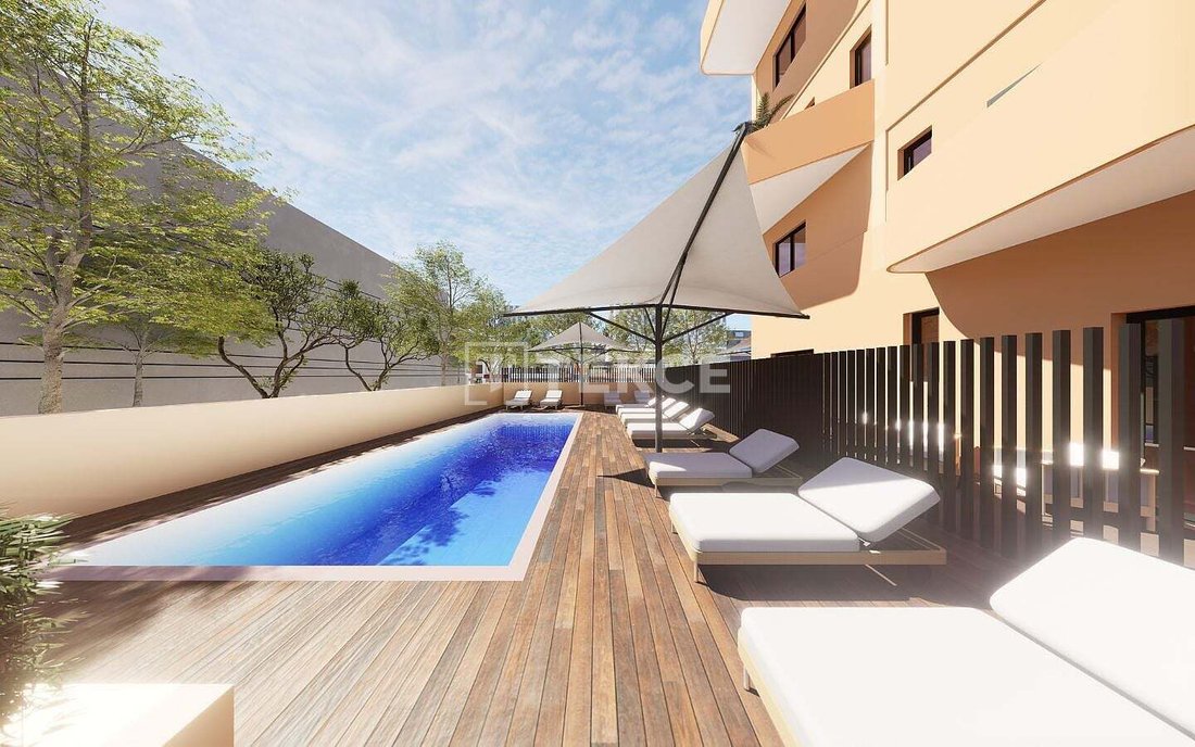 Apartment in el Campello, Valencian Community, Spain 3 - 16993614