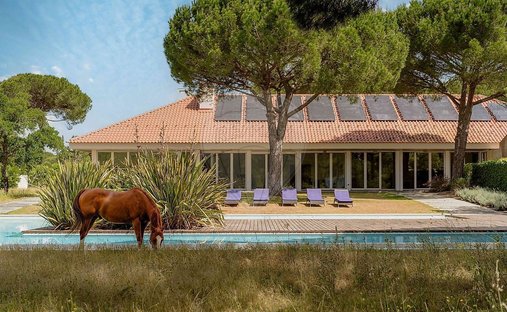 House in Santo Estevao, Santarem District, Portugal 1