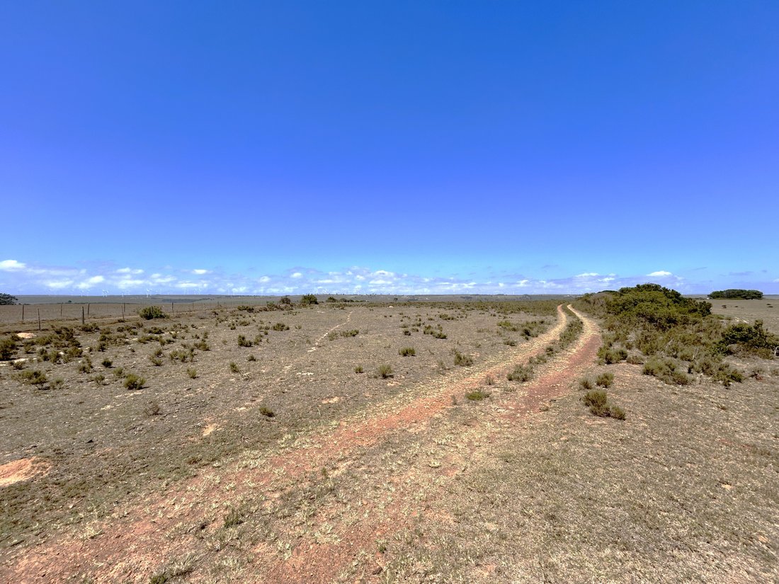 Land in Saint Francis Bay, Eastern Cape, South Africa 2 - 16999542
