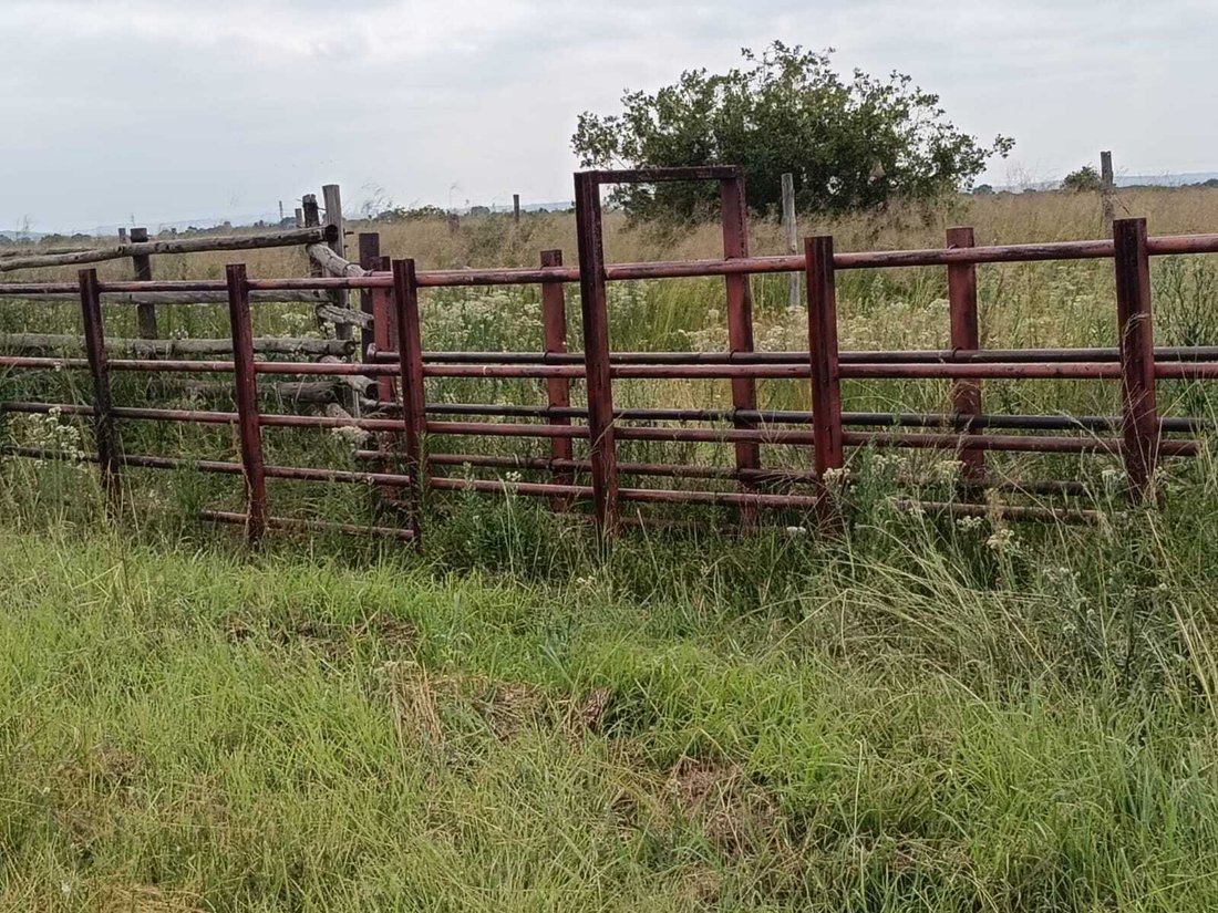 Farm Ranch in Potchefstroom, North West, South Africa 3 - 16991338