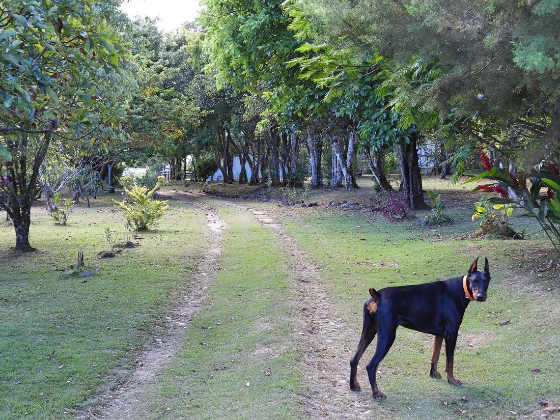 House in Palmira, Chiriquí Province, Panama 3 - 16995168
