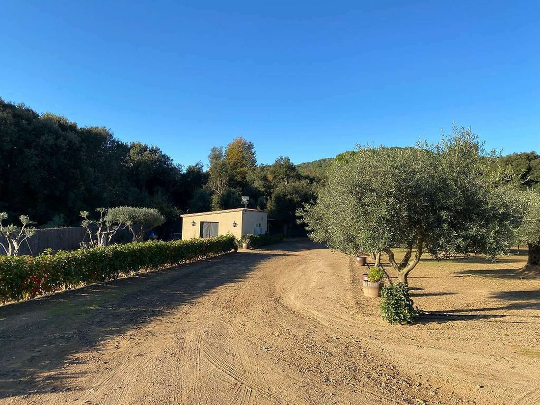 Land in Mont-ras, Catalonia, Spain 4 - 11954806