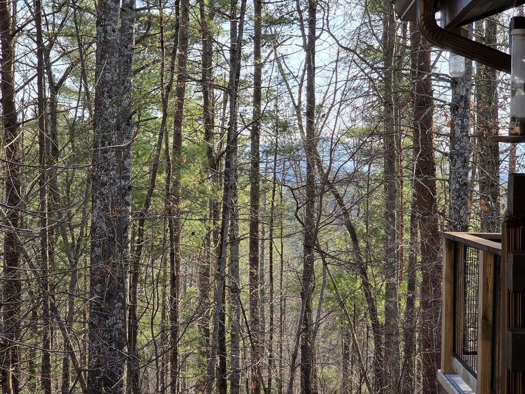 House in Reliance, Tennessee, United States 4 - 16563606