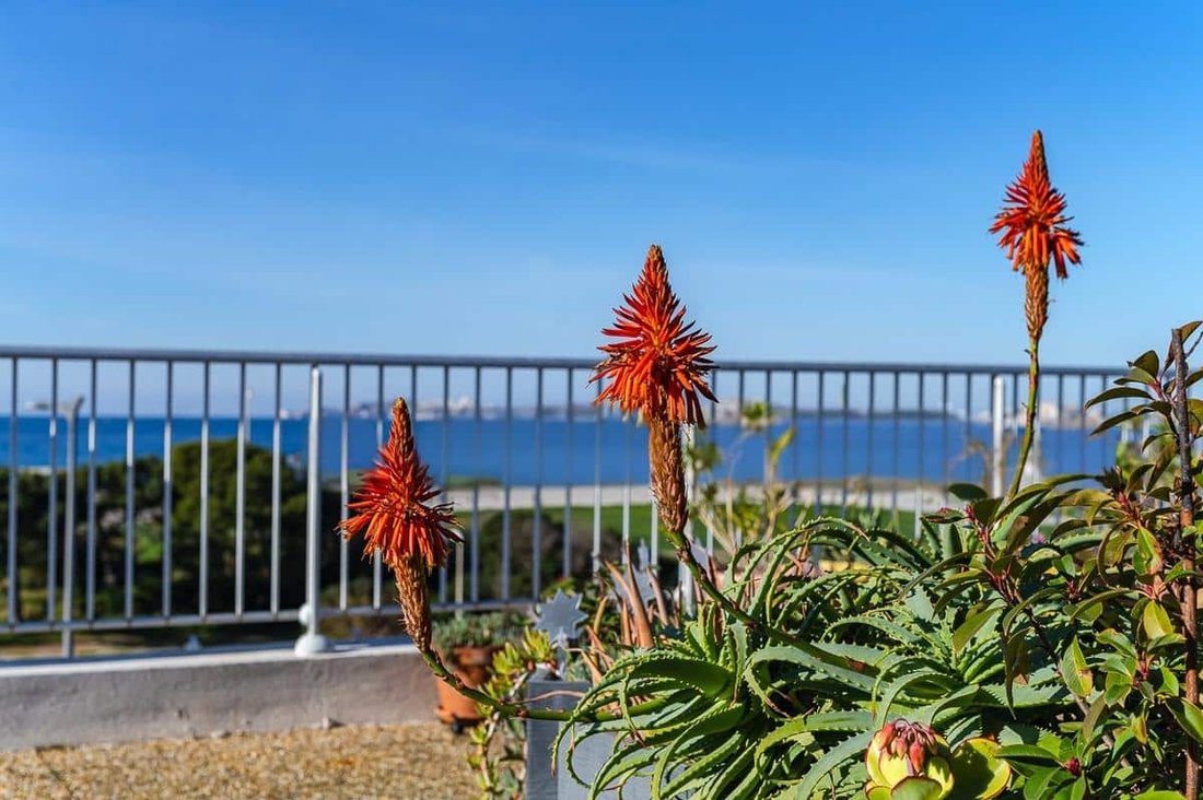Apartment in 1er Arrondissement, Marseille, France 3 - 16947976