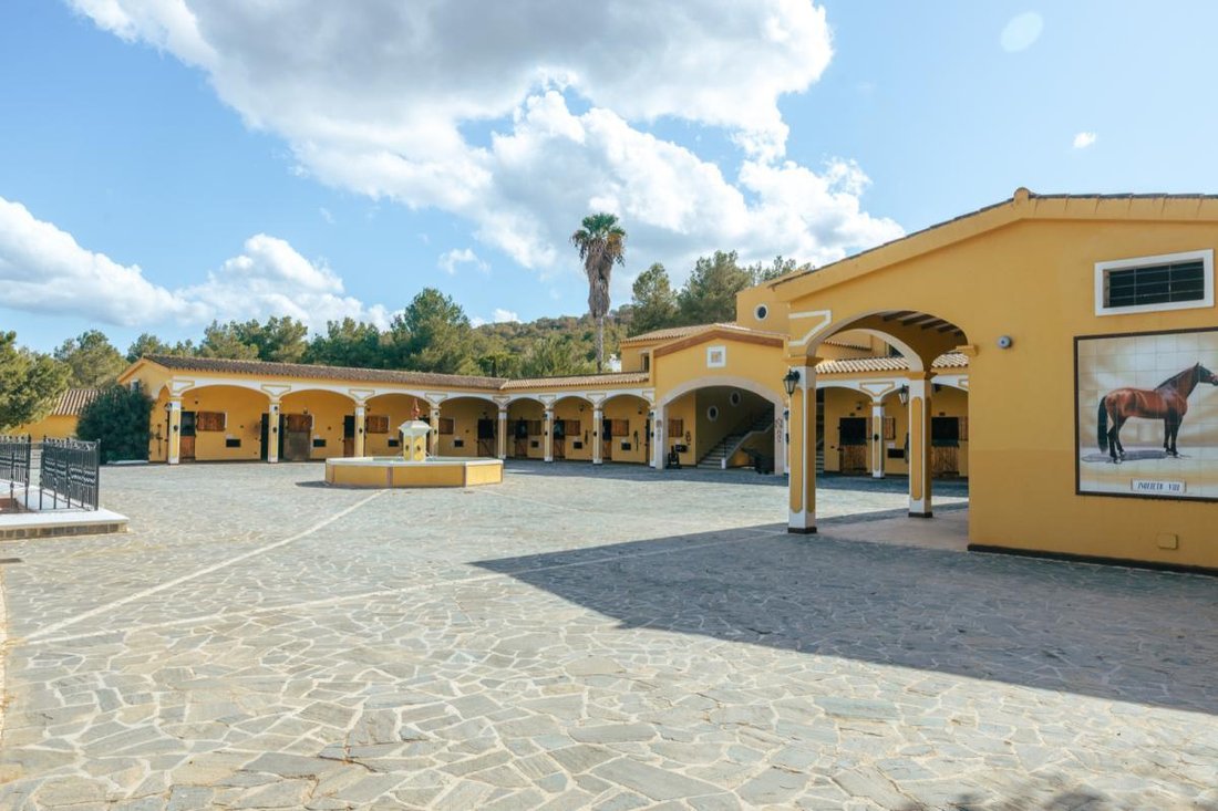 House in Sant Rafel de sa Creu, Sant Antoni de Portmany, Balearic Islands 5 - 16989854