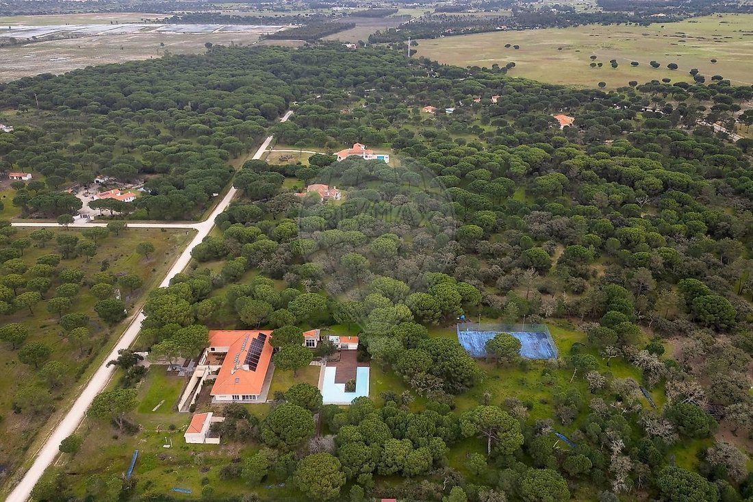 Casa en Santo Estevão, Distrito de Santarém, Portugal 2 - 16990923
